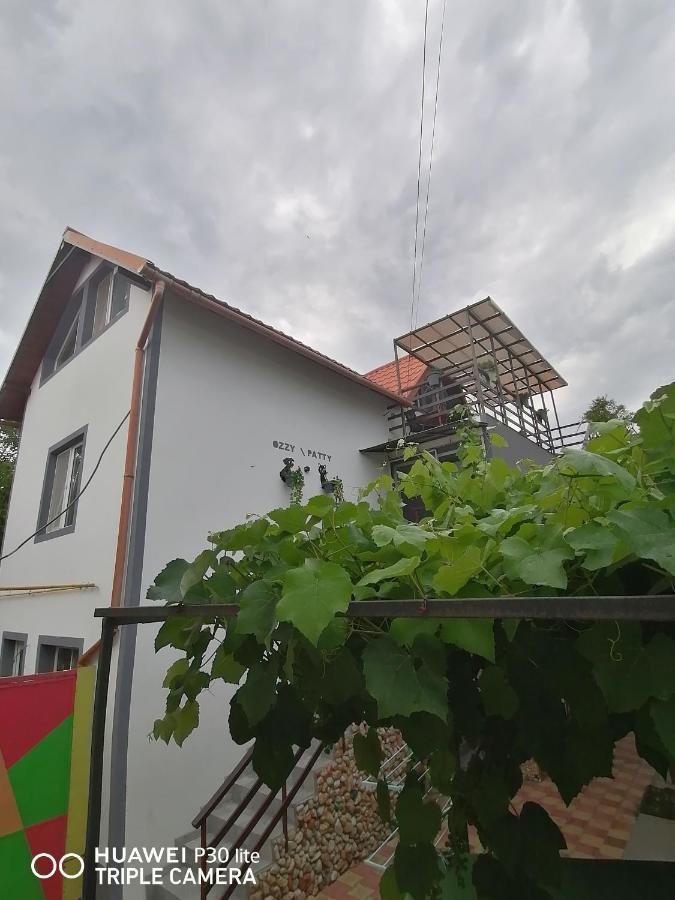 Casa OZZY&PATTY Două Mai Exterior foto
